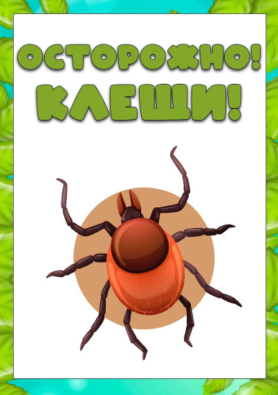 #безопасностьжизнедеятельности #ОсторожноКлещи.